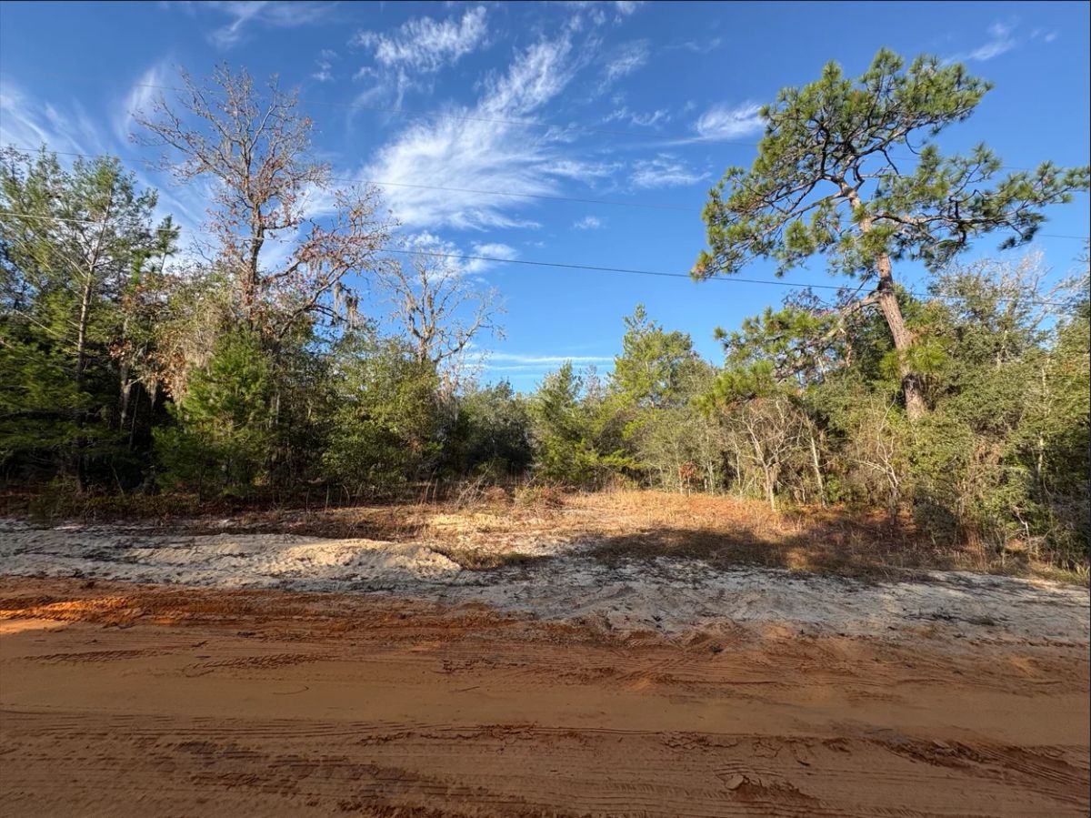 Decorative background for No HOA, No Flood Zone - 0.46 Acres image 5