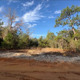 No HOA, No Flood Zone - 0.46 Acres in Putnam County, FL