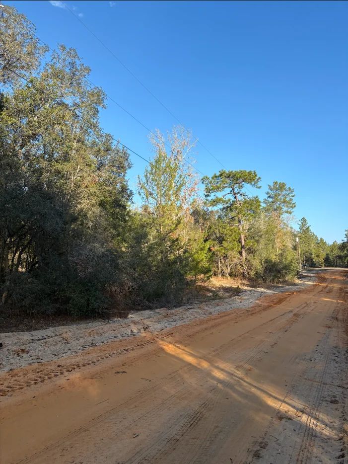 Decorative background for No HOA, No Flood Zone - 0.46 Acres image 7