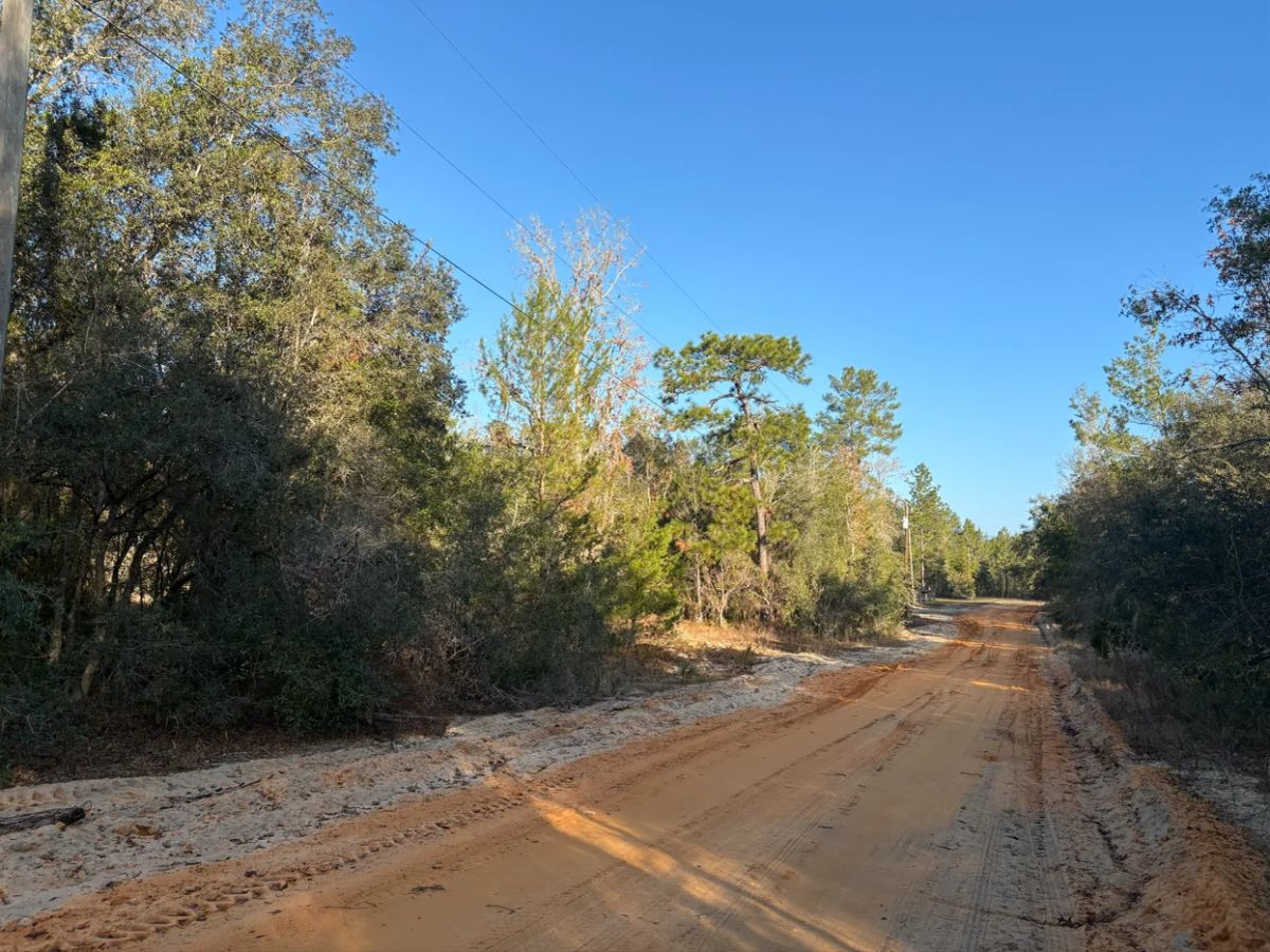 No HOA, No Flood Zone - 0.46 Acres - Main image
