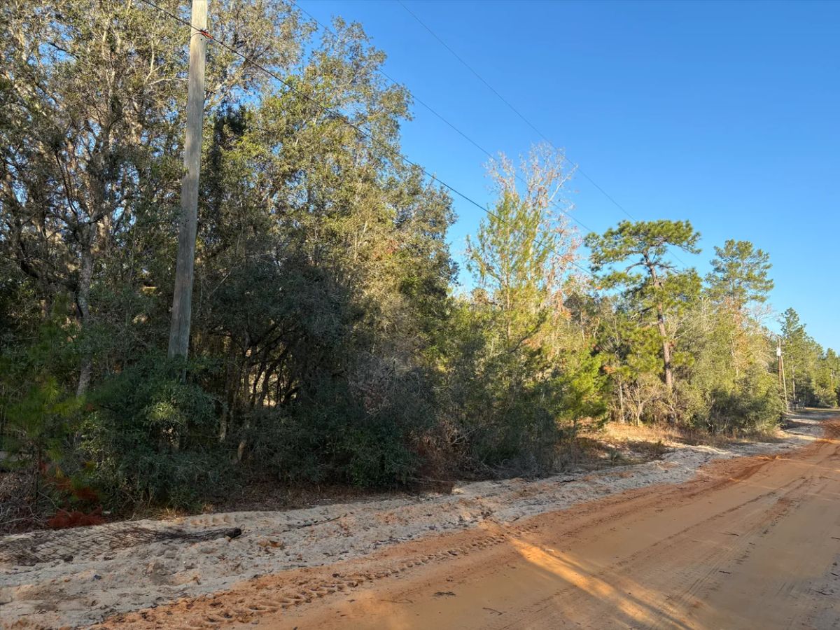 Decorative background for No HOA, No Flood Zone - 0.46 Acres image 8