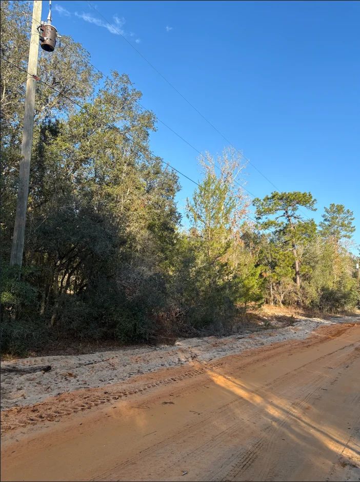 Decorative background for No HOA, No Flood Zone - 0.46 Acres image 9