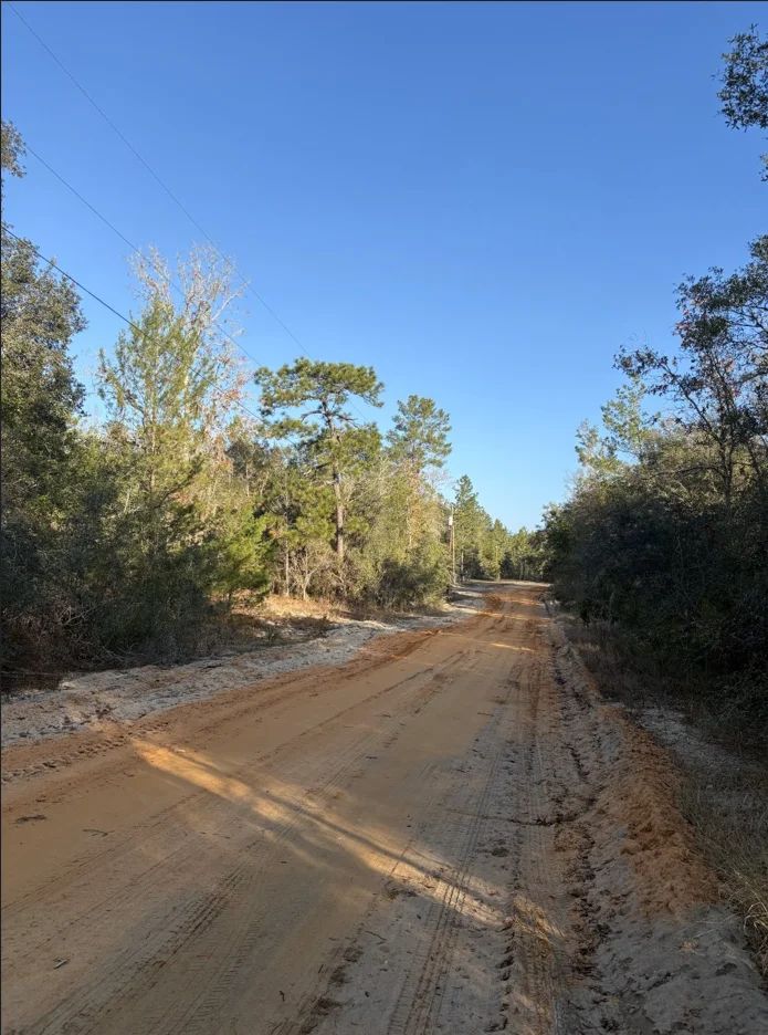 Decorative background for No HOA, No Flood Zone - 0.46 Acres image 10
