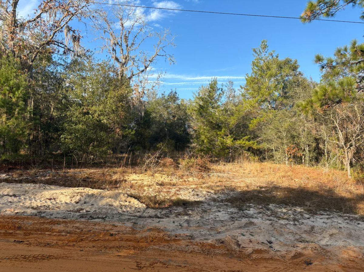 Decorative background for No HOA, No Flood Zone - 0.46 Acres image 11