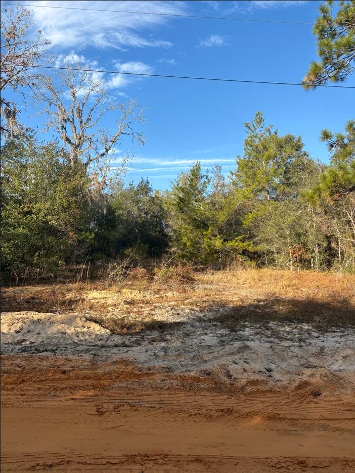Decorative background for No HOA, No Flood Zone - 0.46 Acres image 12