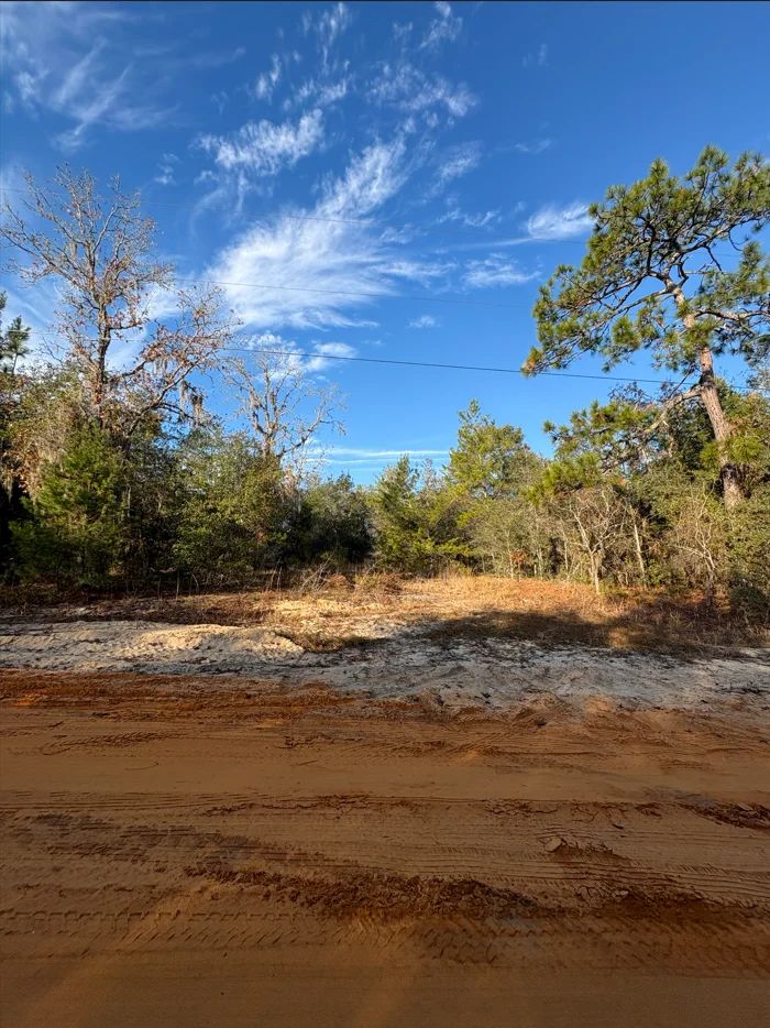 Decorative background for No HOA, No Flood Zone - 0.46 Acres image 13
