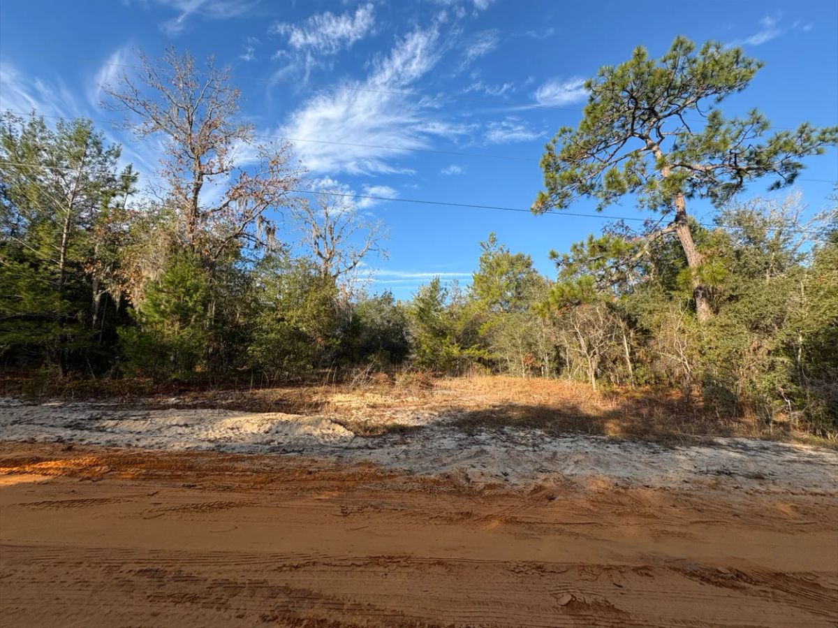 Decorative background for No HOA, No Flood Zone - 0.46 Acres image 14