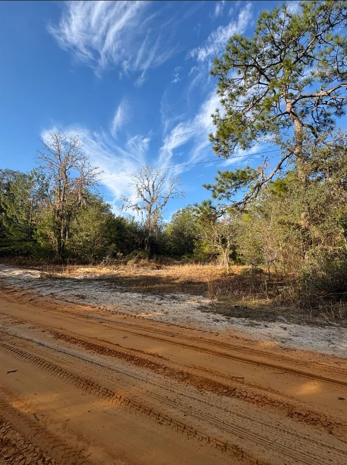 Decorative background for No HOA, No Flood Zone - 0.46 Acres image 15