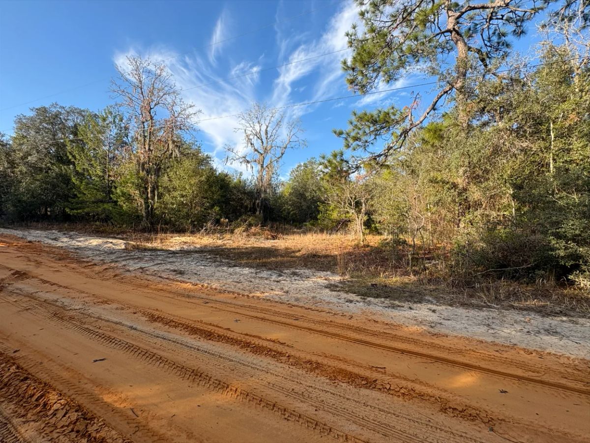Decorative background for No HOA, No Flood Zone - 0.46 Acres image 16