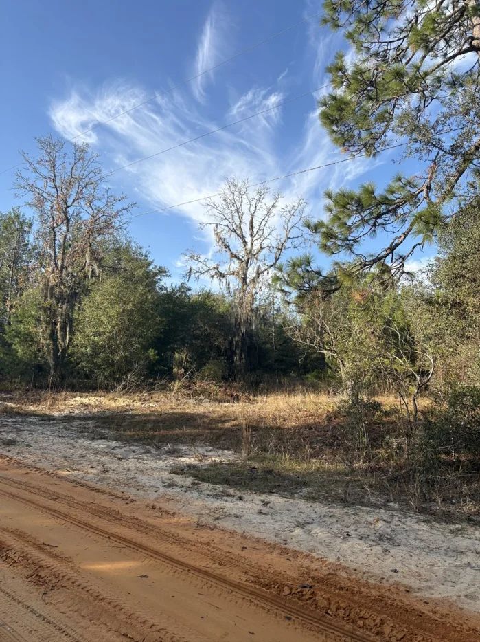 Decorative background for No HOA, No Flood Zone - 0.46 Acres image 17