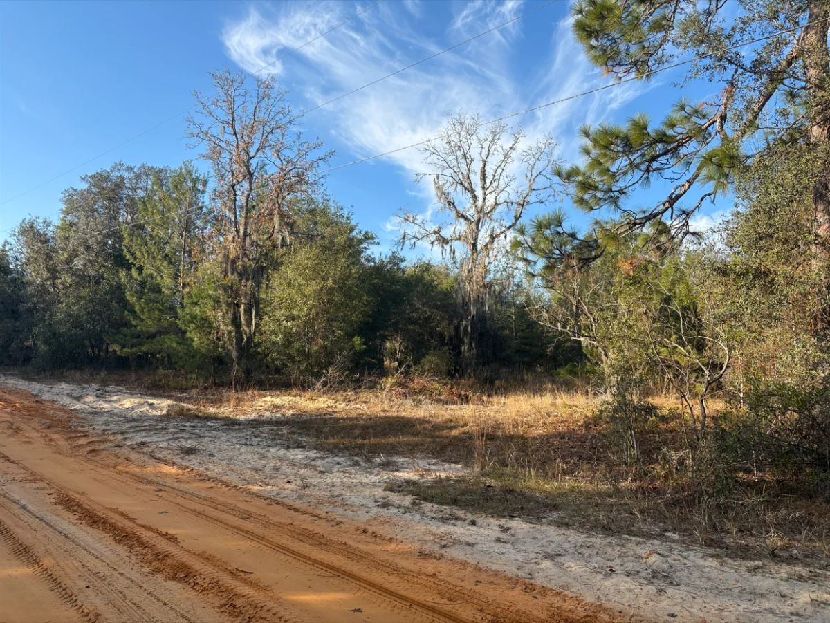 Decorative background for No HOA, No Flood Zone - 0.46 Acres image 18