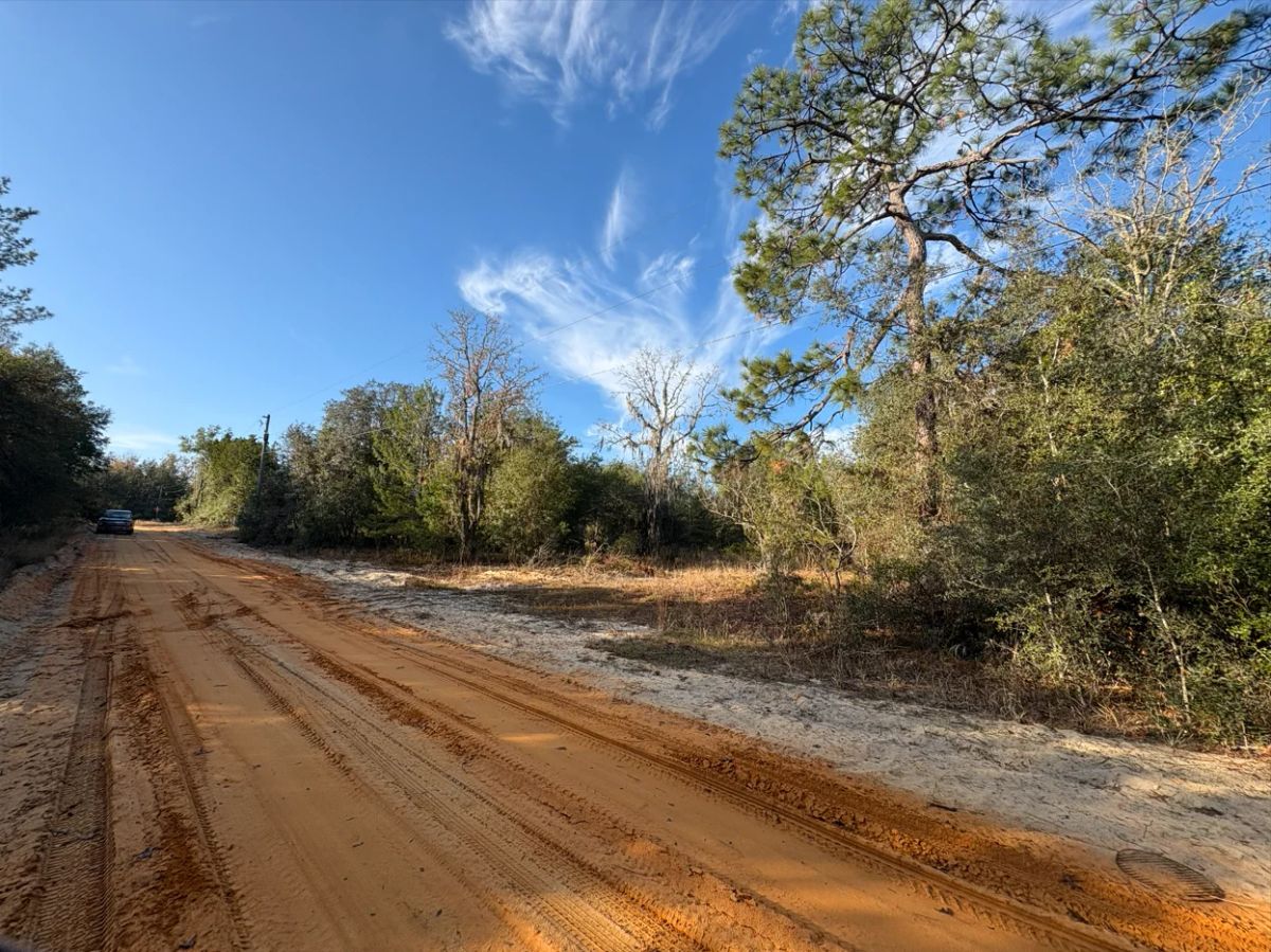 Decorative background for No HOA, No Flood Zone - 0.46 Acres image 19