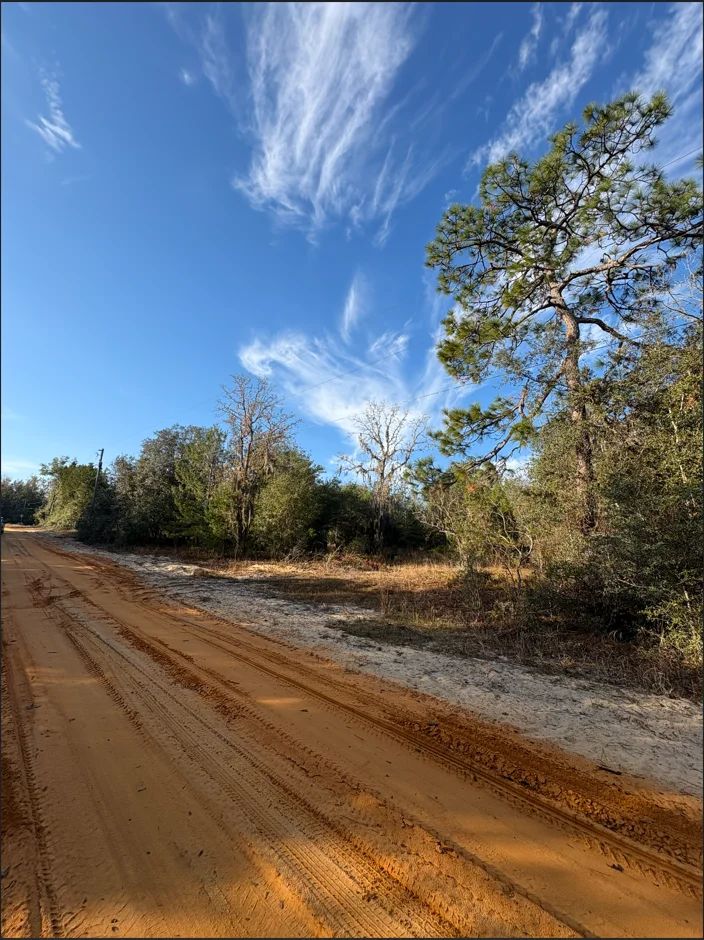 Decorative background for No HOA, No Flood Zone - 0.46 Acres image 20