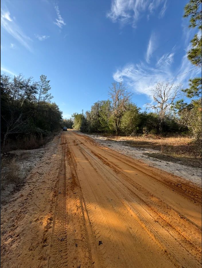Decorative background for No HOA, No Flood Zone - 0.46 Acres image 21