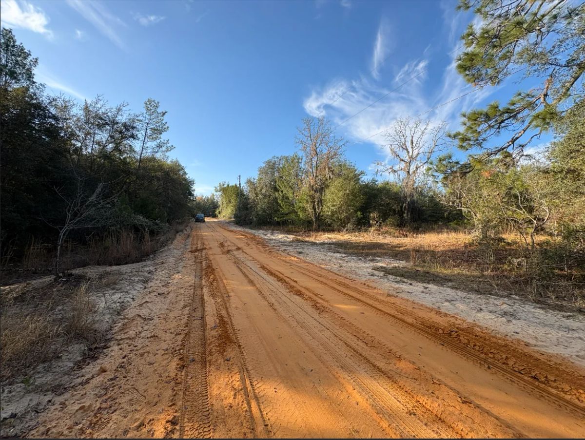 Decorative background for No HOA, No Flood Zone - 0.46 Acres image 22