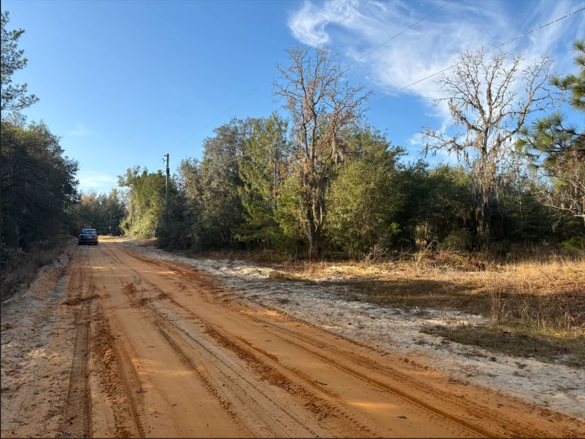 Decorative background for No HOA, No Flood Zone - 0.46 Acres image 23