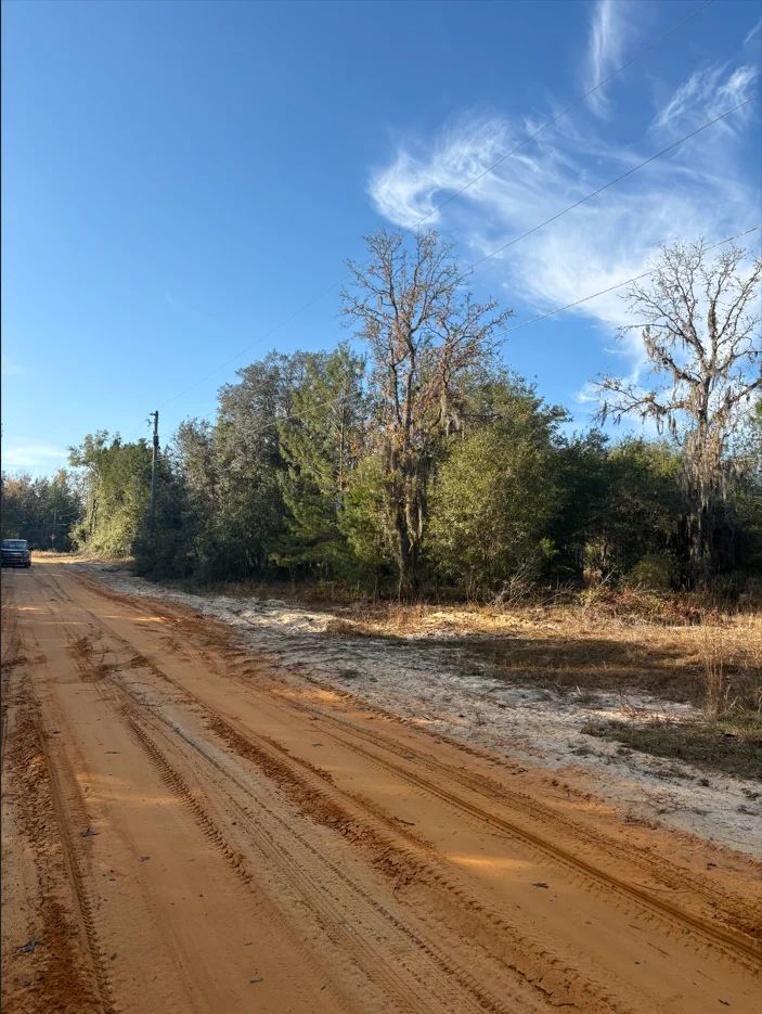 Decorative background for No HOA, No Flood Zone - 0.46 Acres image 24