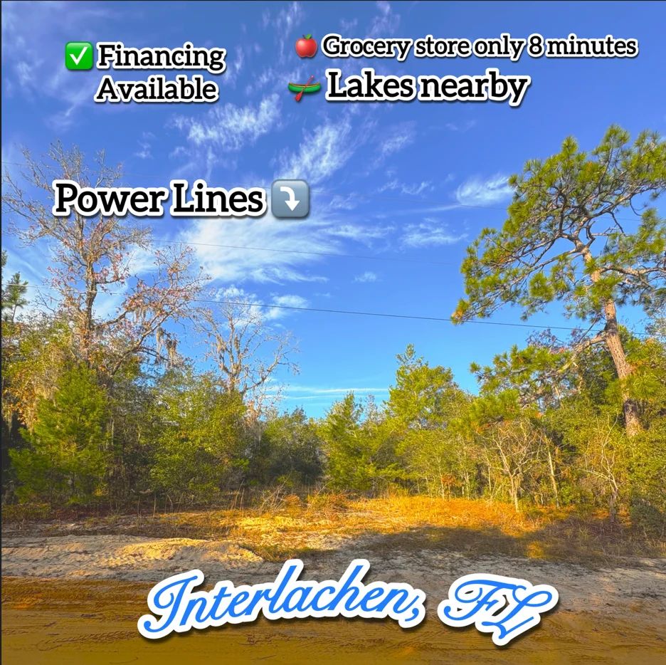 Decorative background for No HOA, No Flood Zone - 0.46 Acres image 25
