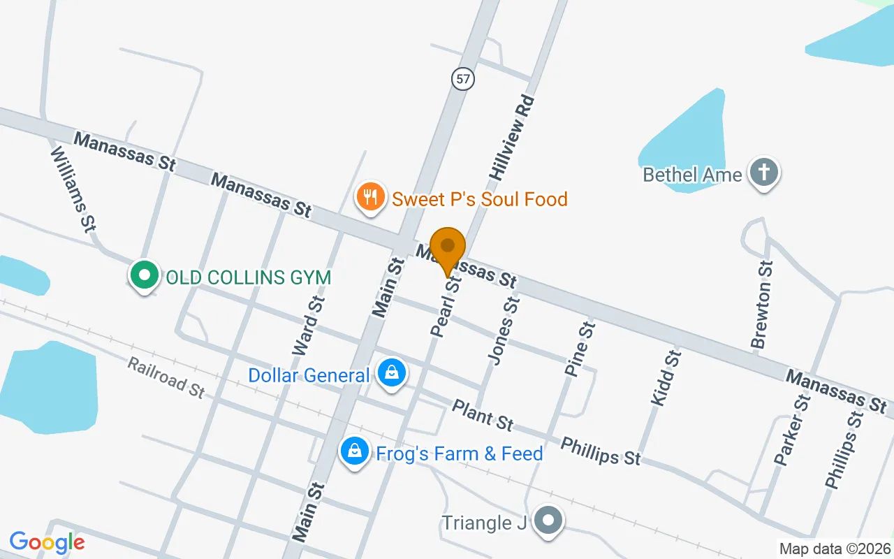 0.11 Acres in Collins - Tattnall County, GA in Tattnall County, GA