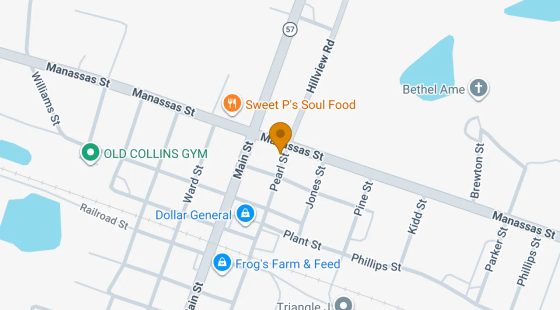0.11 Acres in Collins - Tattnall County, GA in Tattnall County, GA