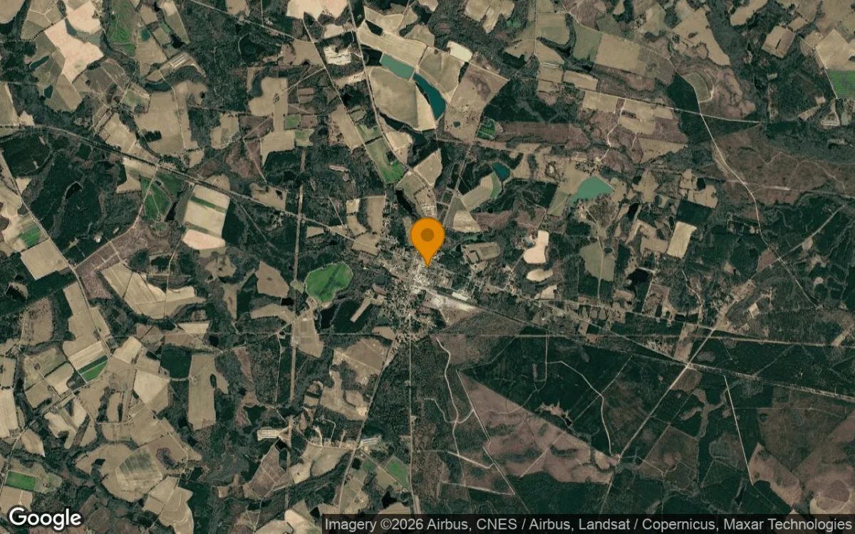 0.11 Acres in Collins - Tattnall County, GA - Image 3