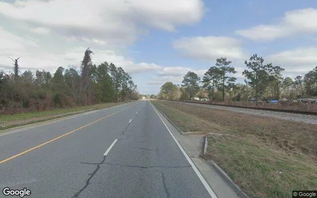 Decorative background for 0.89 Acres in Stockton - Lanier County, GA image 6