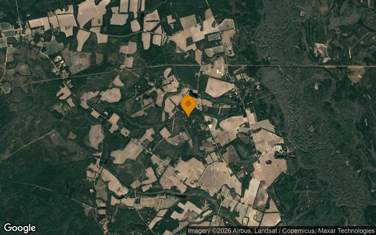 7.48 Acres in Brooklet - Bulloch County, GA - Image 3
