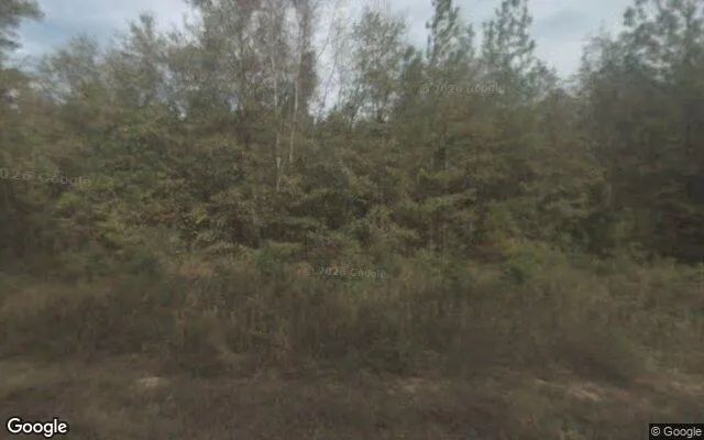 7.48 Acres in Brooklet - Bulloch County, GA in Bulloch County, GA