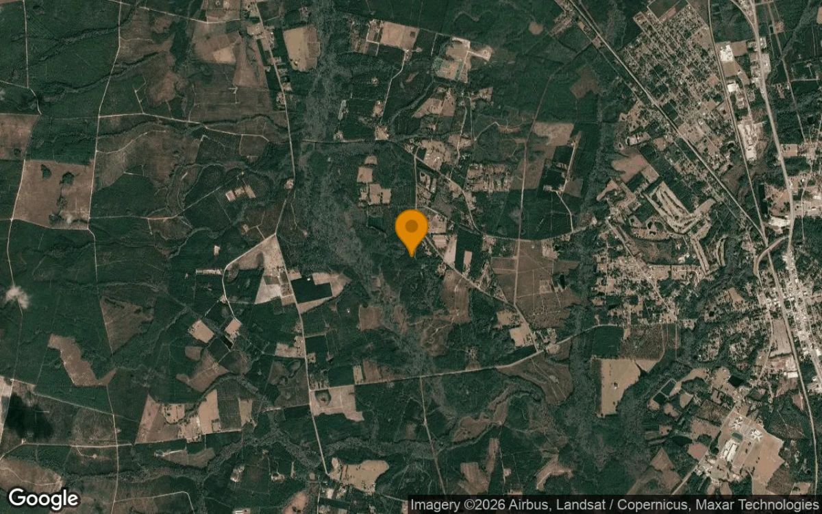 34.14 Acres in Folkston - Charlton County, GA - Image 3