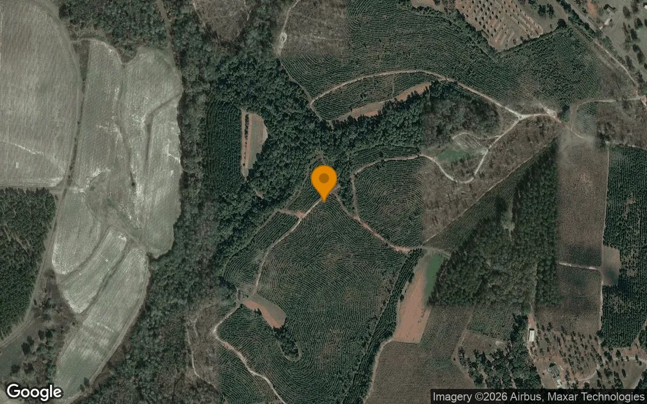 126.72 Acres in Richland - Webster County, GA in Webster County, GA