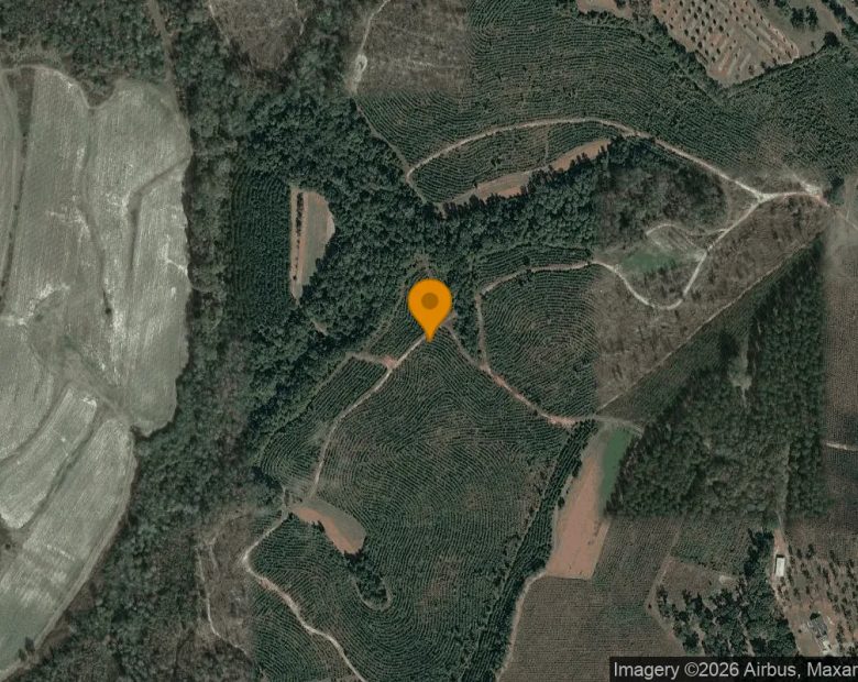 126.72 Acres in Richland - Webster County, GA in Webster County, GA