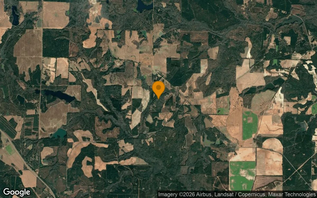 126.72 Acres in Richland - Webster County, GA - Image 3