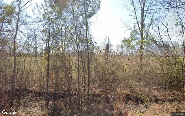 126.72 Acres in Richland - Webster County, GA - Image 4