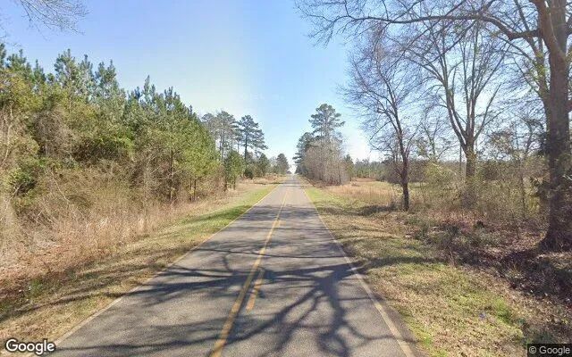 Decorative background for 126.72 Acres in Richland - Webster County, GA image 5