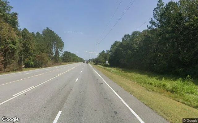 Decorative background for 1.5 Acres in Patterson - Pierce County, GA image 6