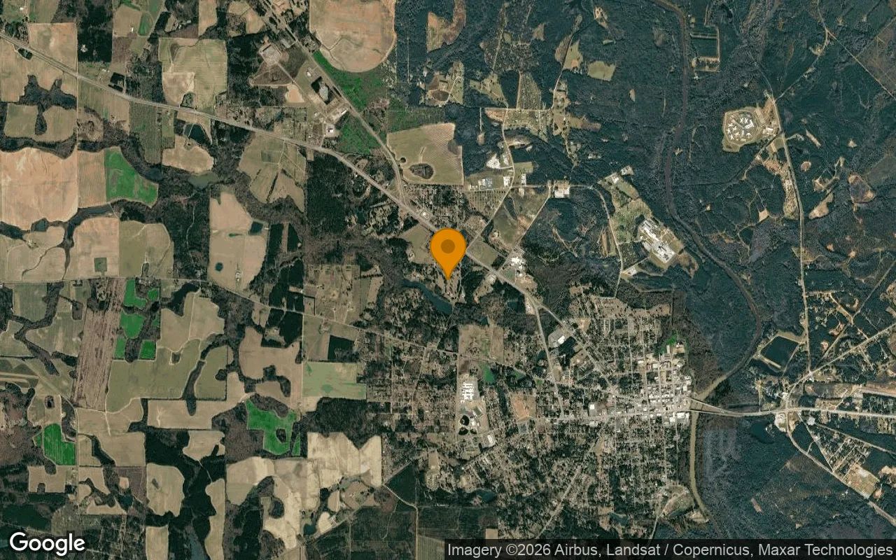 15.37 Acres in Hawkinsville - Pulaski County, GA in Pulaski County, GA
