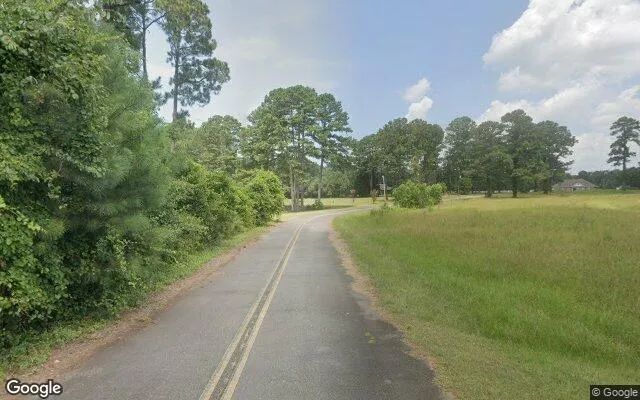Decorative background for 15.37 Acres in Hawkinsville - Pulaski County, GA image 5