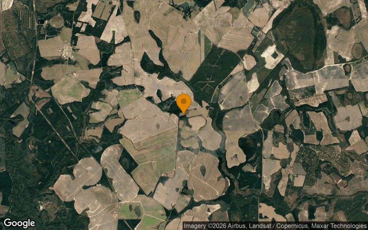14.98 Acres in Sylvania - Screven County, GA - Image 3