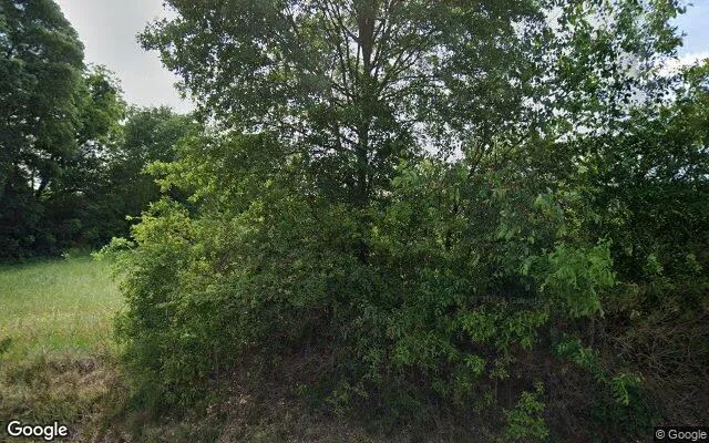 0.18 Acres in Carnesville - Franklin County, GA - Image 4