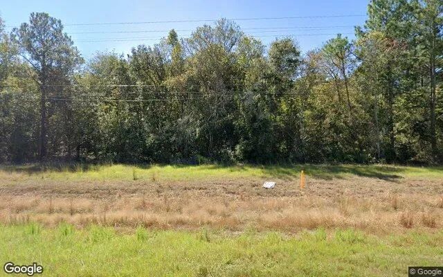 35.04 Acres in Baxley - Appling County, GA - Image 4