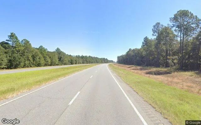 Decorative background for 35.04 Acres in Baxley - Appling County, GA image 5