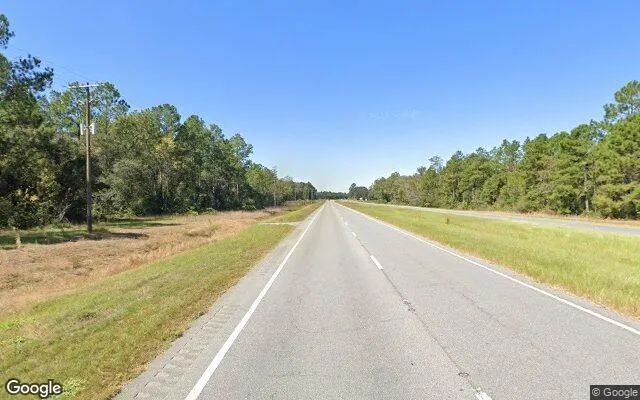 Decorative background for 35.04 Acres in Baxley - Appling County, GA image 6