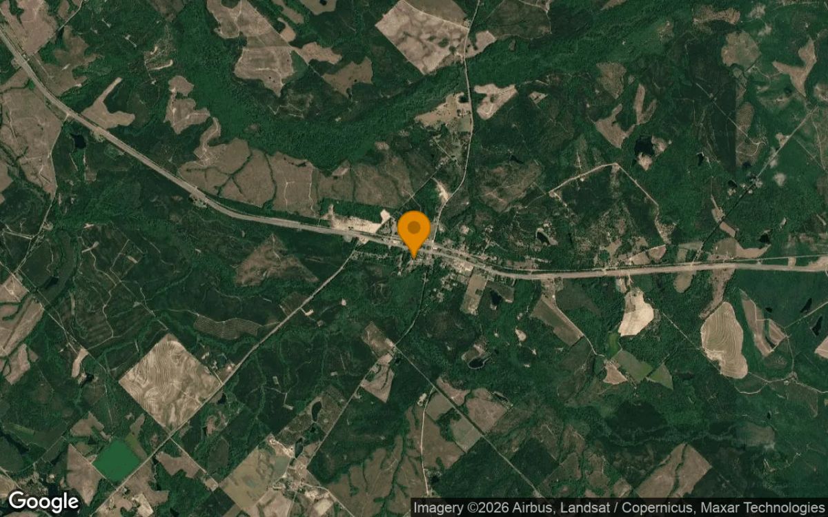 0.35 Acres in Chauncey - Dodge County, GA - Image 3