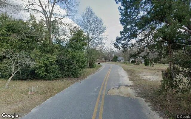 Decorative background for 0.35 Acres in Chauncey - Dodge County, GA image 6