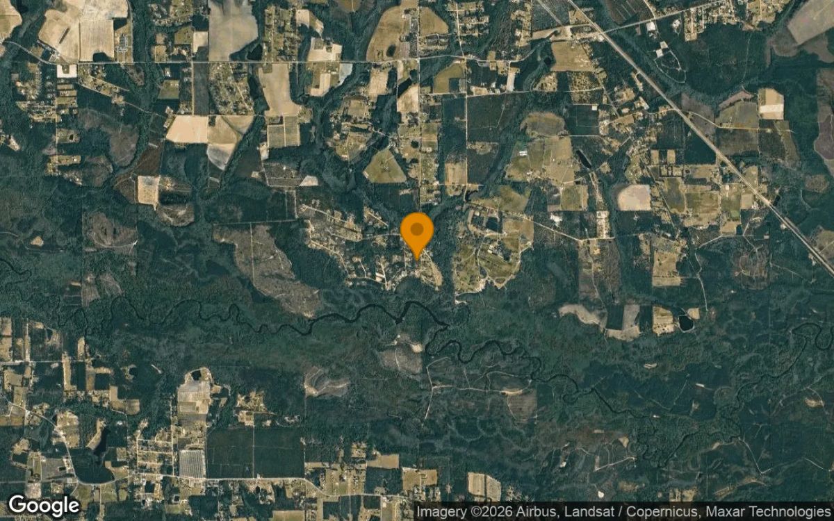 1.5 Acres in Blackshear - Pierce County, GA - Image 3