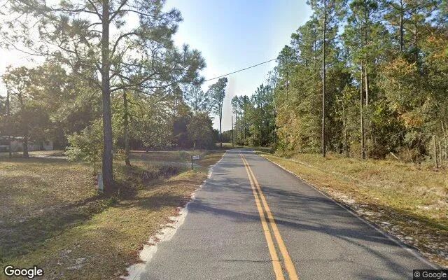 Decorative background for 1.5 Acres in Blackshear - Pierce County, GA image 6