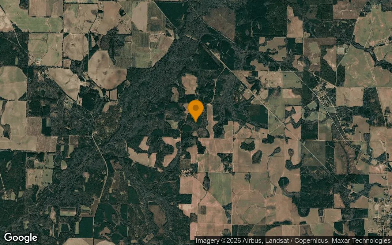 124.82 Acres in Montezuma - Dooly County, GA in Dooly County, GA