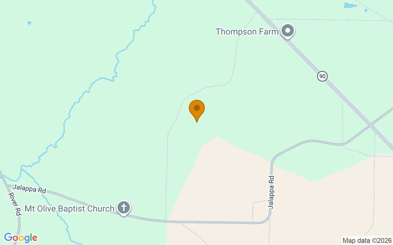 124.82 Acres in Montezuma - Dooly County, GA in Dooly County, GA