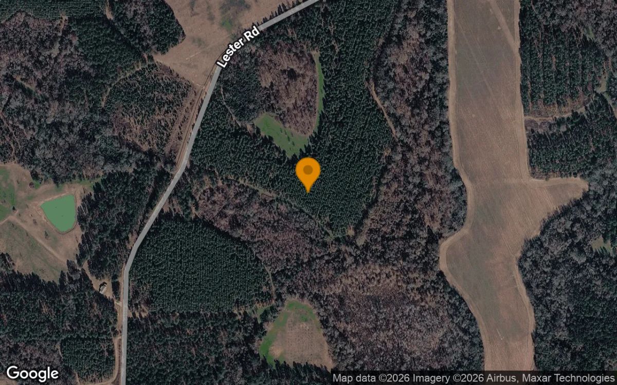 Decorative background for 124.82 Acres in Montezuma - Dooly County, GA image 6