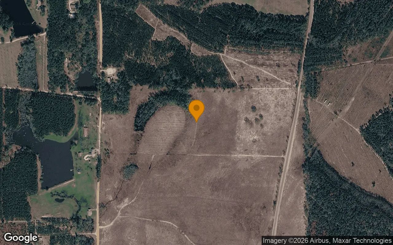 35 Acres in Baxley - Appling County, GA in Appling County, GA